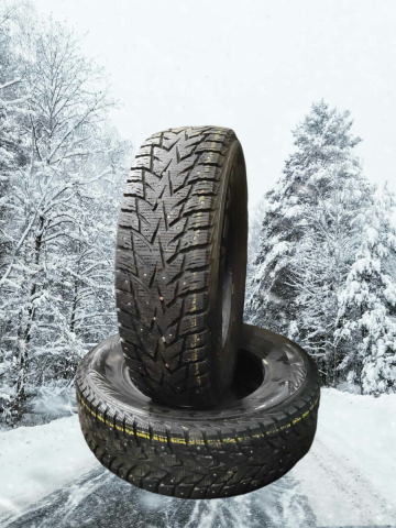 Nastarenkaat Nexen Winguard Winspike