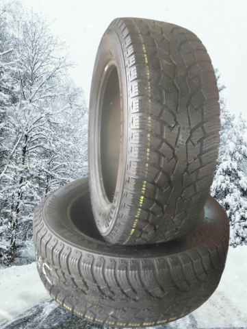 lameller Nokian Hakkapeliitta CR4