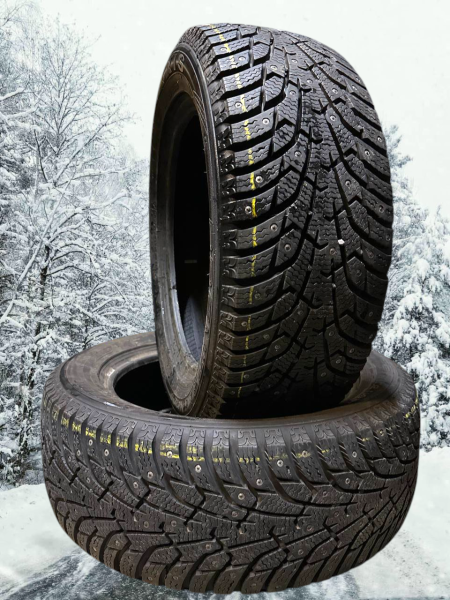 Nastarenkaat Maxxis Arctic Trekker NP3